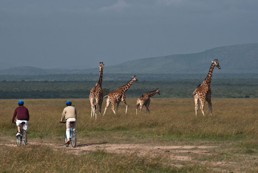 Kicheche Laikipa Active Mountain Biking 1