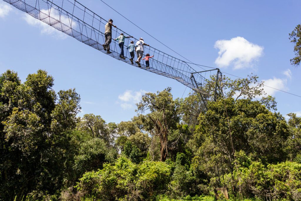 Kicheche Laikipa Active Ngare Ndare Canopy Excursion 1