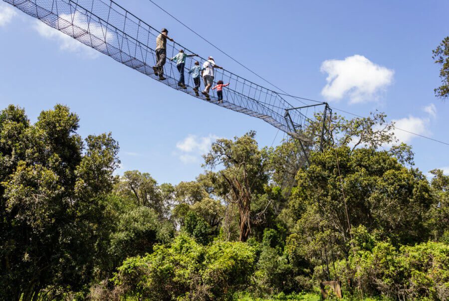 Kicheche Laikipa Active Ngare Ndare Canopy Excursion