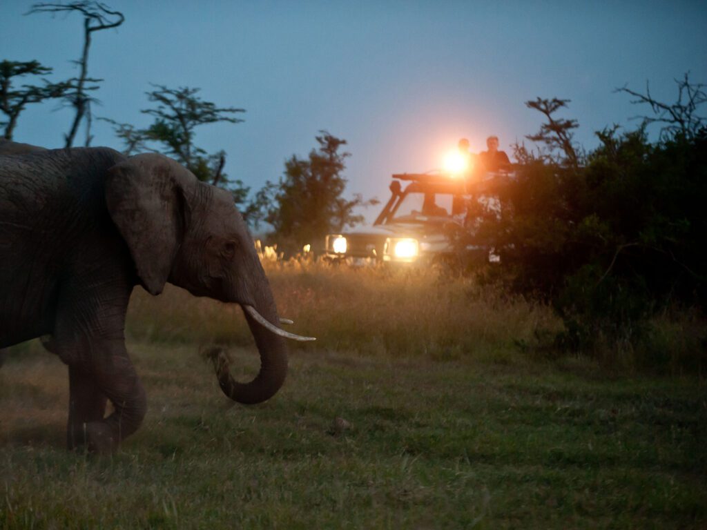 Kicheche Laikipia Active Night Game drive