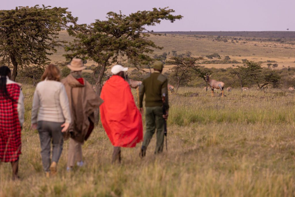 Kicheche Masai Mara Safari walking