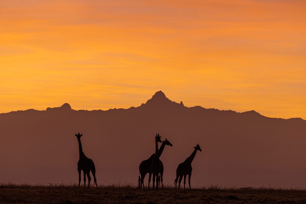 Simply Laikipia Kicheche Laikipia Mt Kenya view Simply Laikipia Kicheche Laikipia Mt Kenya view