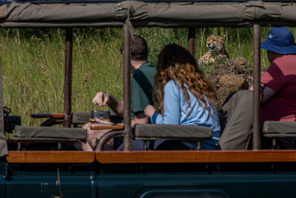 Kicheche Bush Olare Game drive
