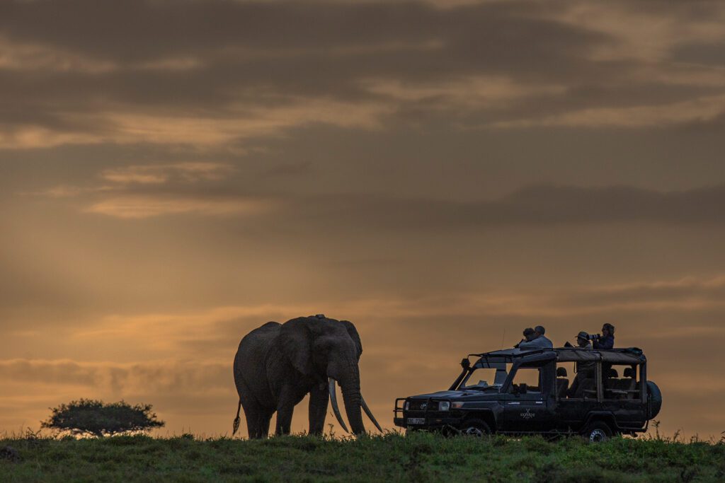 Kicheche Bush Olare Game drive ()